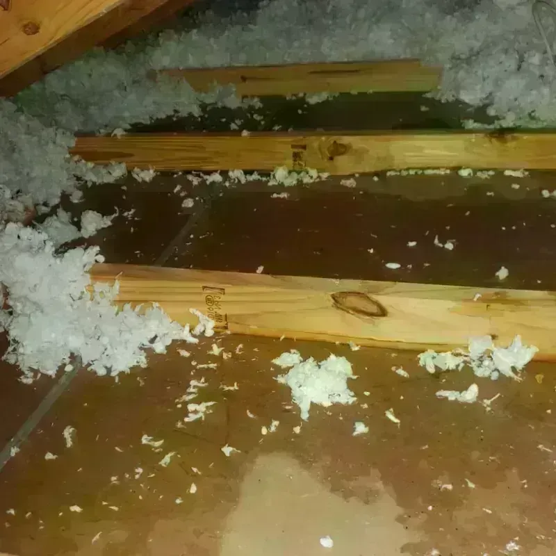 Attic Water Damage in Mendon, UT